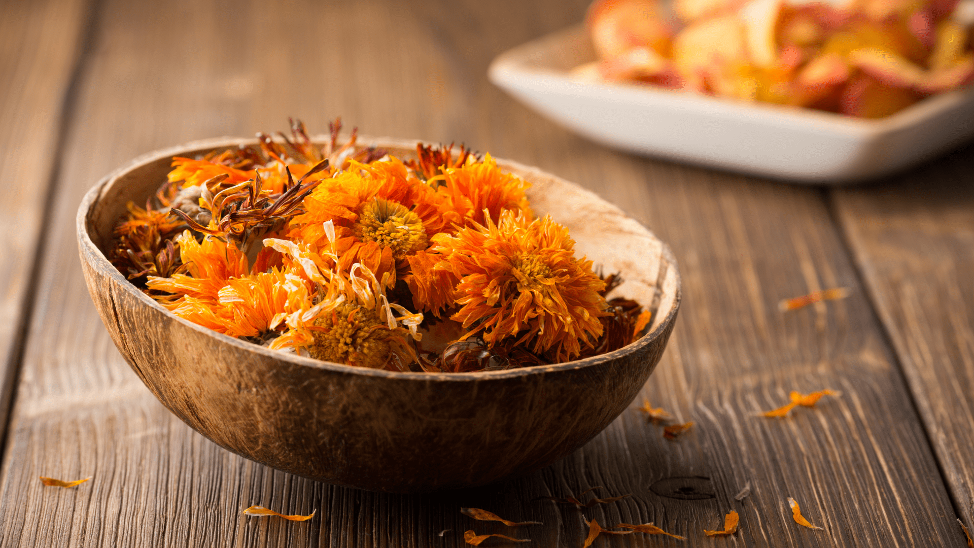 Calendula Flower