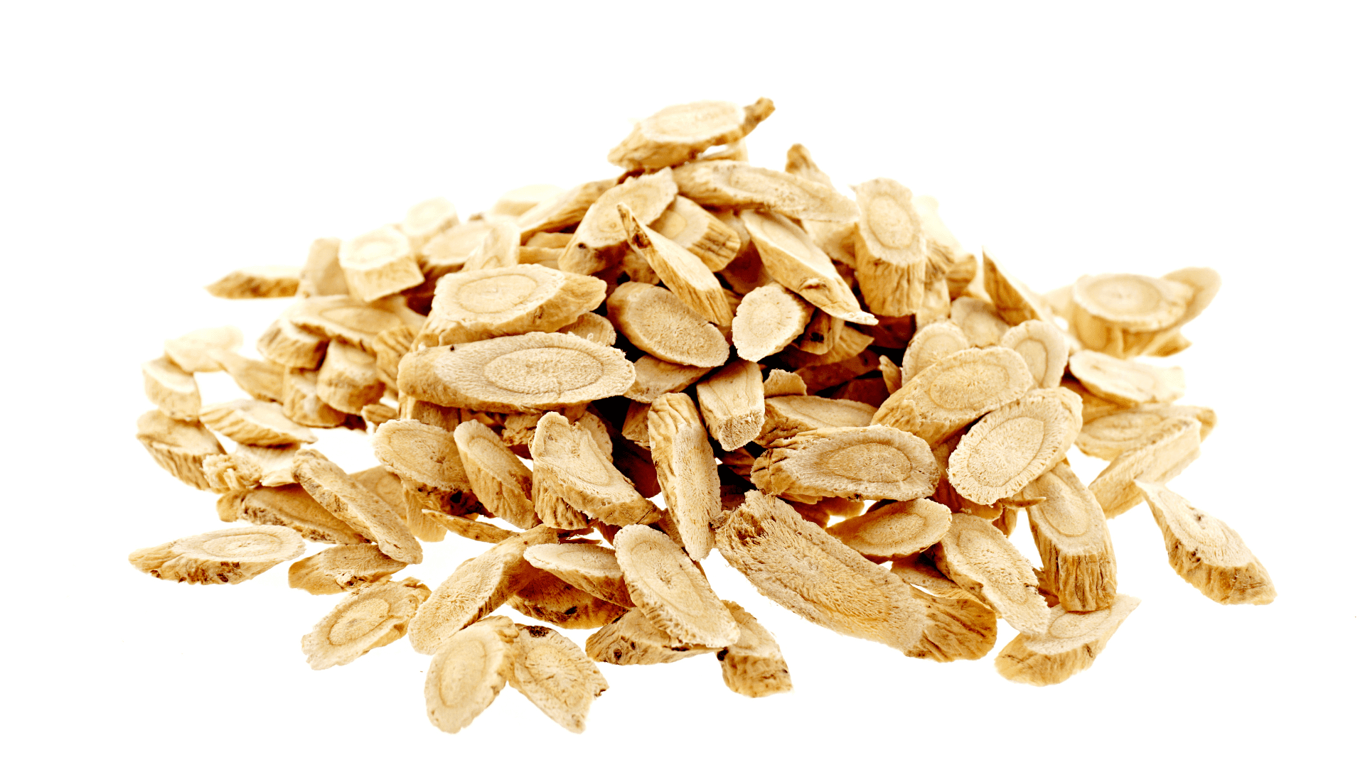 Astragalus