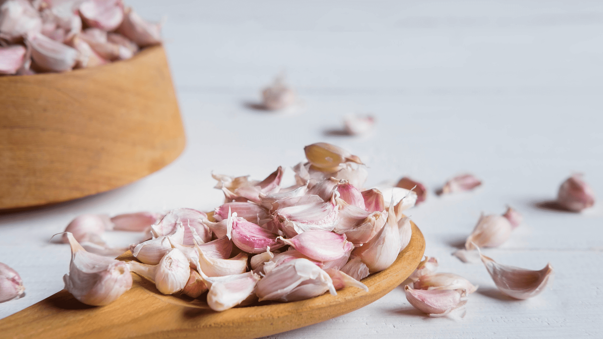 Garlic