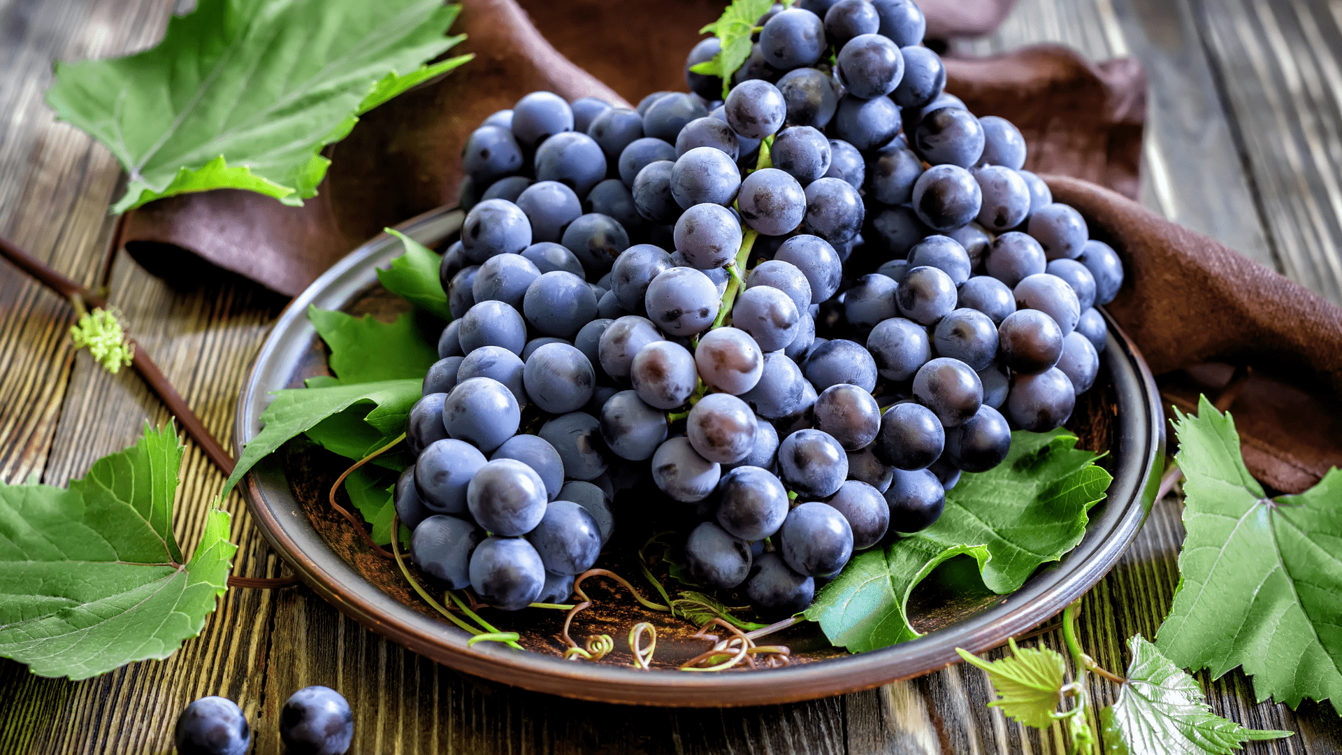 Grape Seed