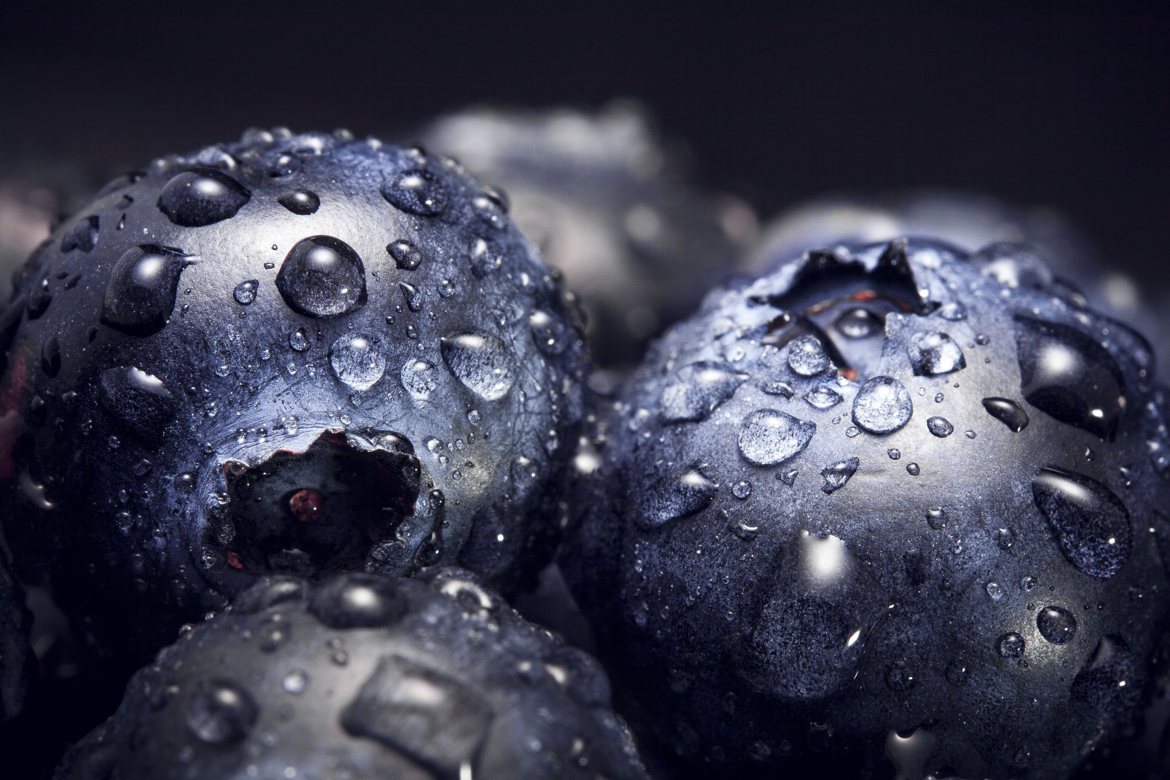 Bilberry