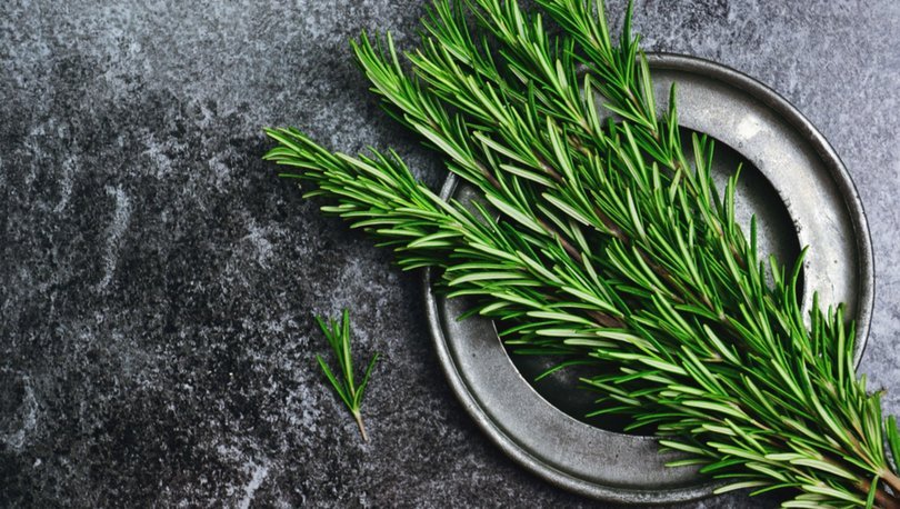 Rosemary