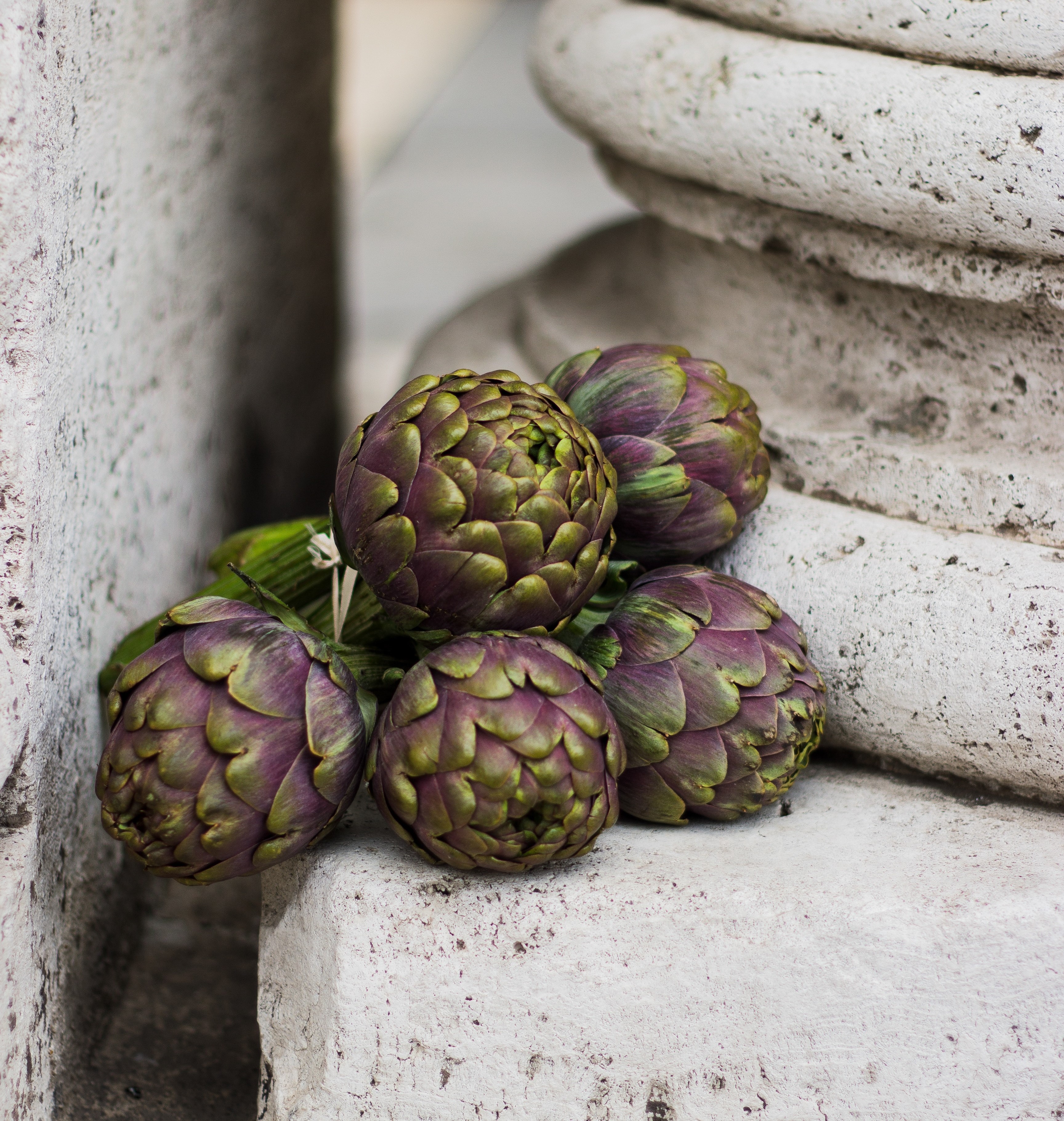 Artichoke