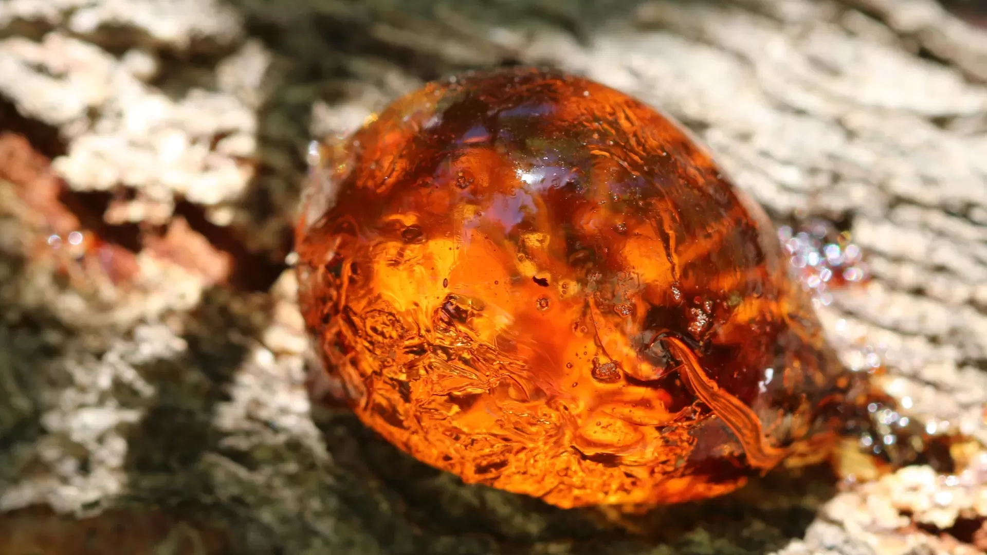 Selective Encapsulation of Volatile Compounds of Spruce Resin