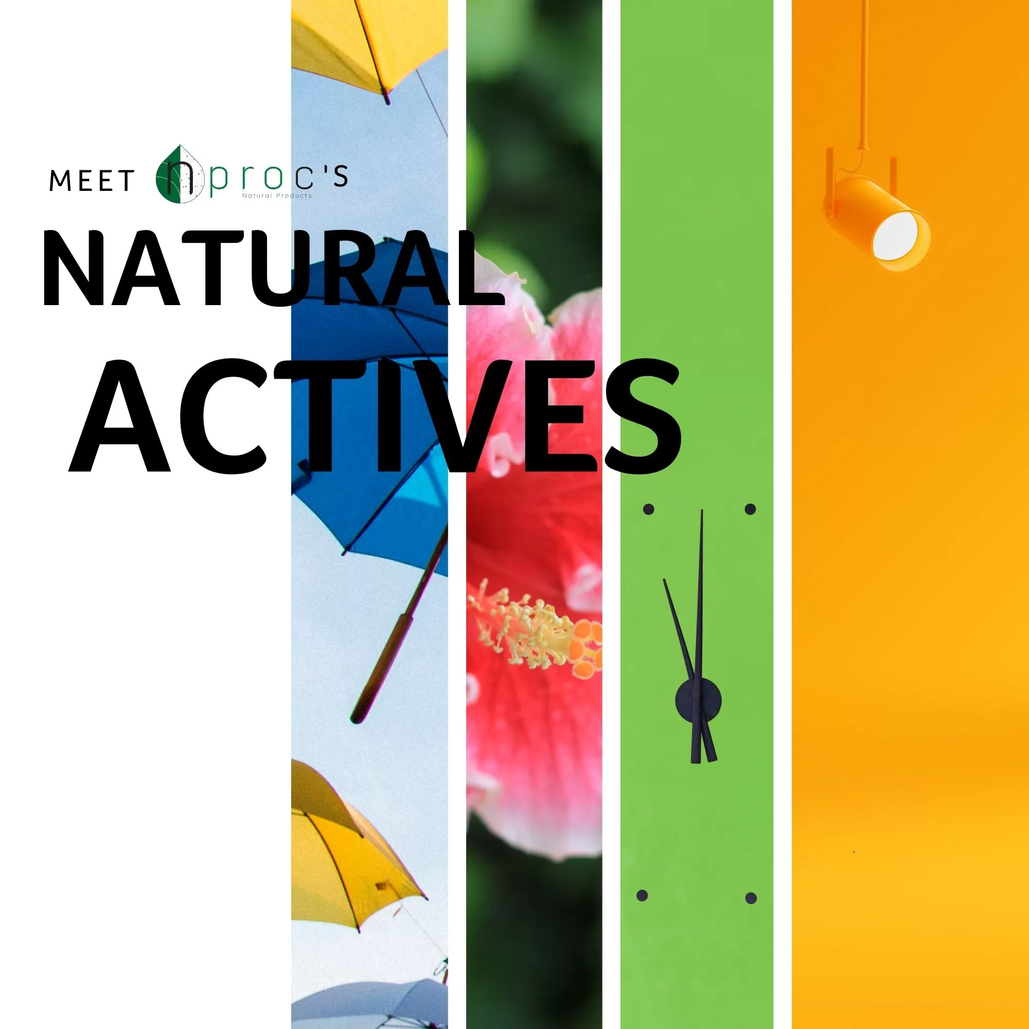 ACTIVE CATALOG