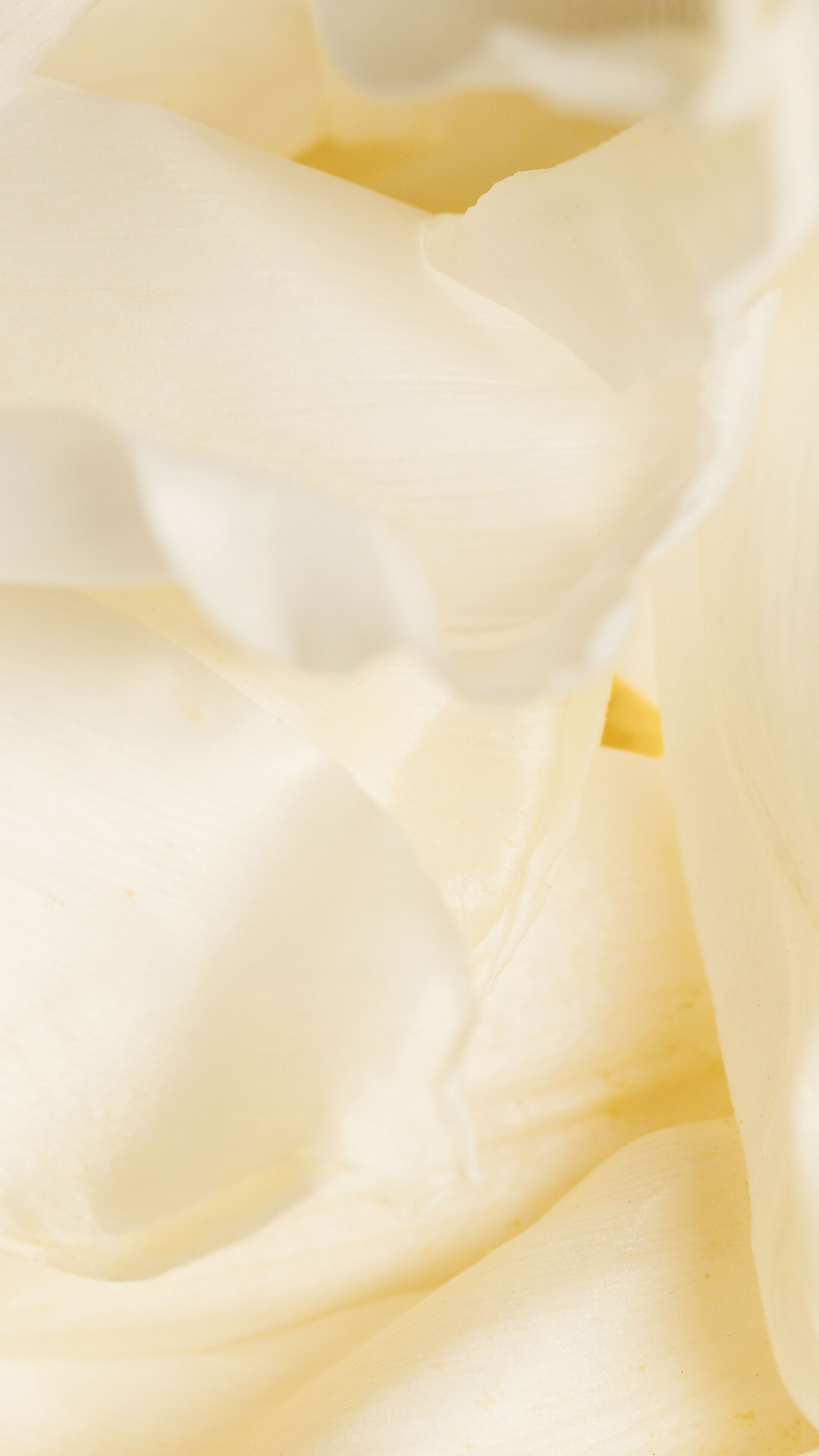 BİTKİ EKSTRAKTLARI