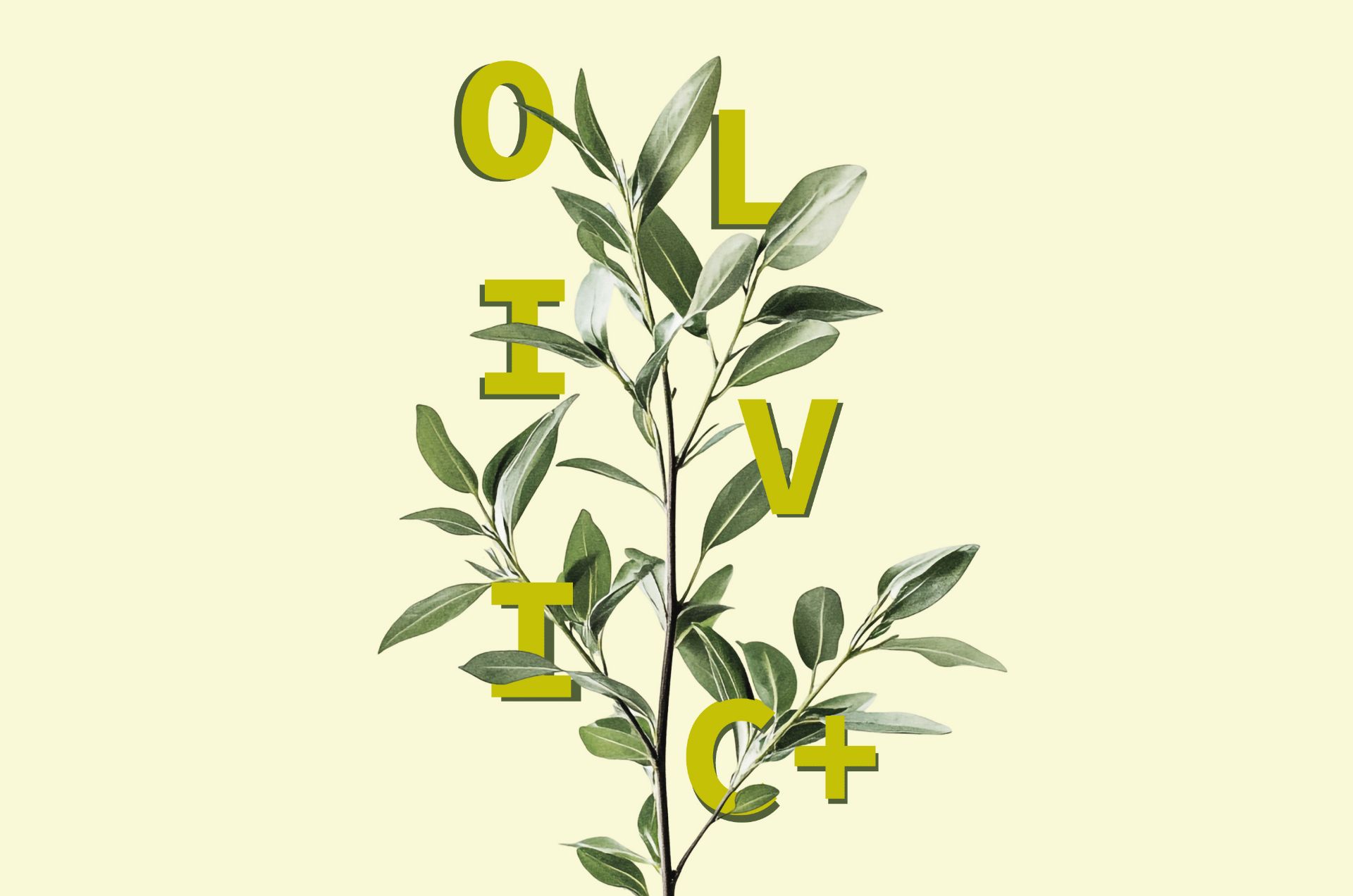 OLIVIC+