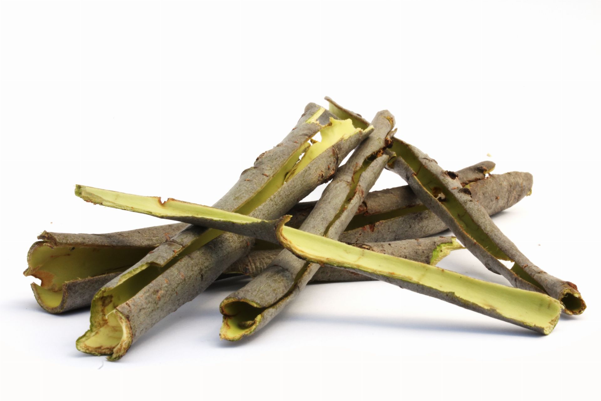 Willow Bark (Salix Alba L.)